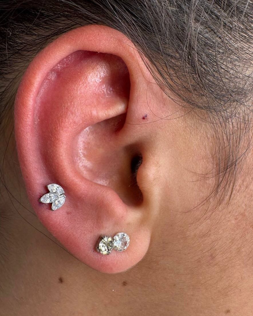 une oreille percée avec deux boucles lors d'une formation piercing